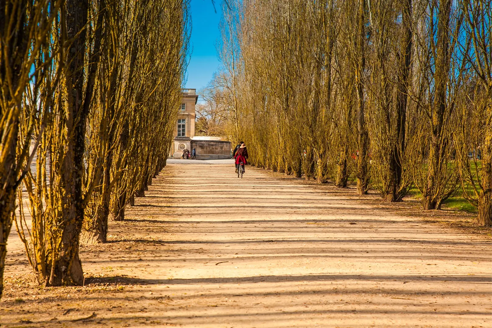 Offres Vélo - Hôtel des Roys Versailles